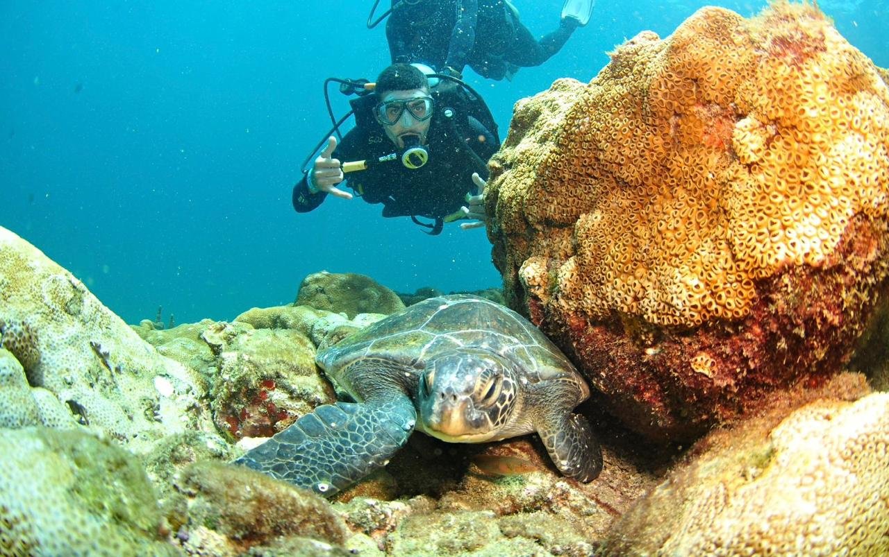 Mergulho de Cilindro em Arraial do Cabo